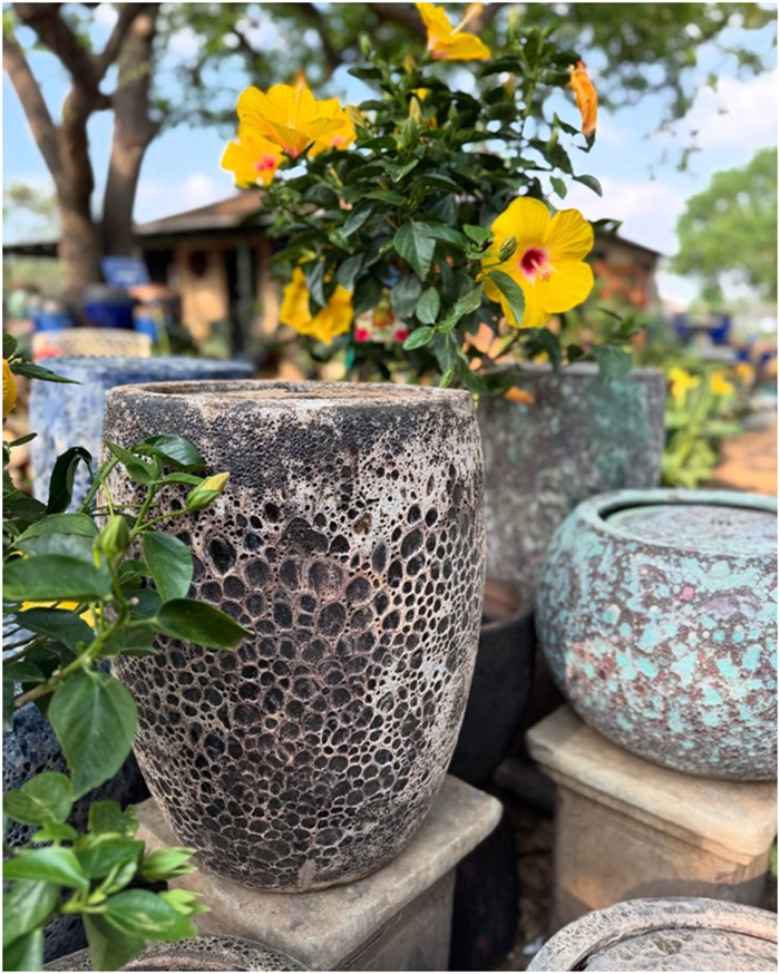 Planters