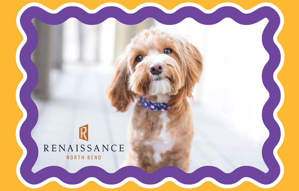 Renaissance North Bend is Pet-friendly