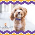 Renaissance North Bend is Pet-friendly