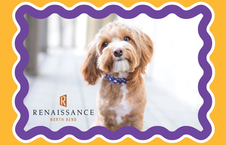 Renaissance North Bend is Pet-friendly