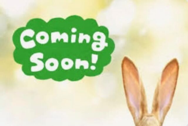 A Renaissance tradition 🐰 ✨ 
Our residents already know…
Newcomers- you’re about to find out 😉 
#renaissanceatnorthbendapts #annualegghunt