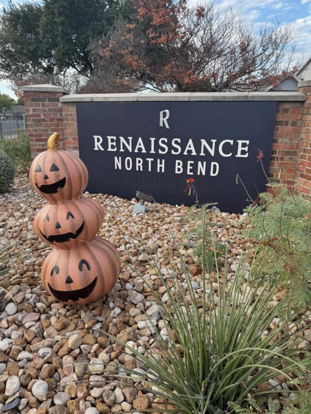 Jack is still having fun around our community! You can find him hiding on one of our patios.🎃🙀
Be the next resident to find him for some amazing Halloween prizes!🔍
Comment a picture with him once you have found him. 📸🧡🖤
#pumpkinhunting #pumpkinseason #rnbapts #rampartnersllc