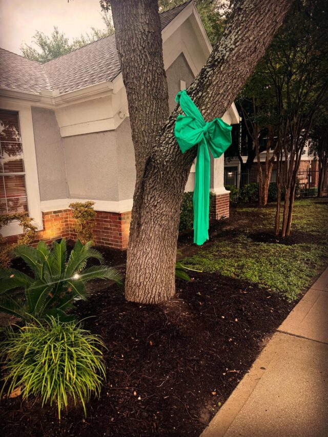 💚 #texasflood