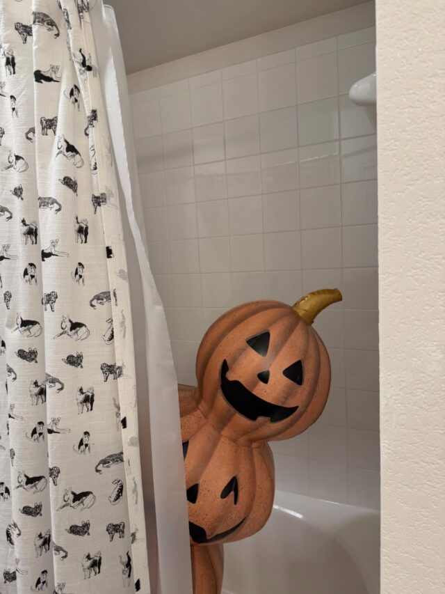 Find Jack the Pumpkin, snap a picture with him, and share your spooky moment for a chance to win a prize! 📸🎃
You can find Jack hiding on a patio, happy pumpkin hunting!👻🙀
#pumpkinhunting #scavengerhunt #happyhalloween #rnbapts #rampartnersllc